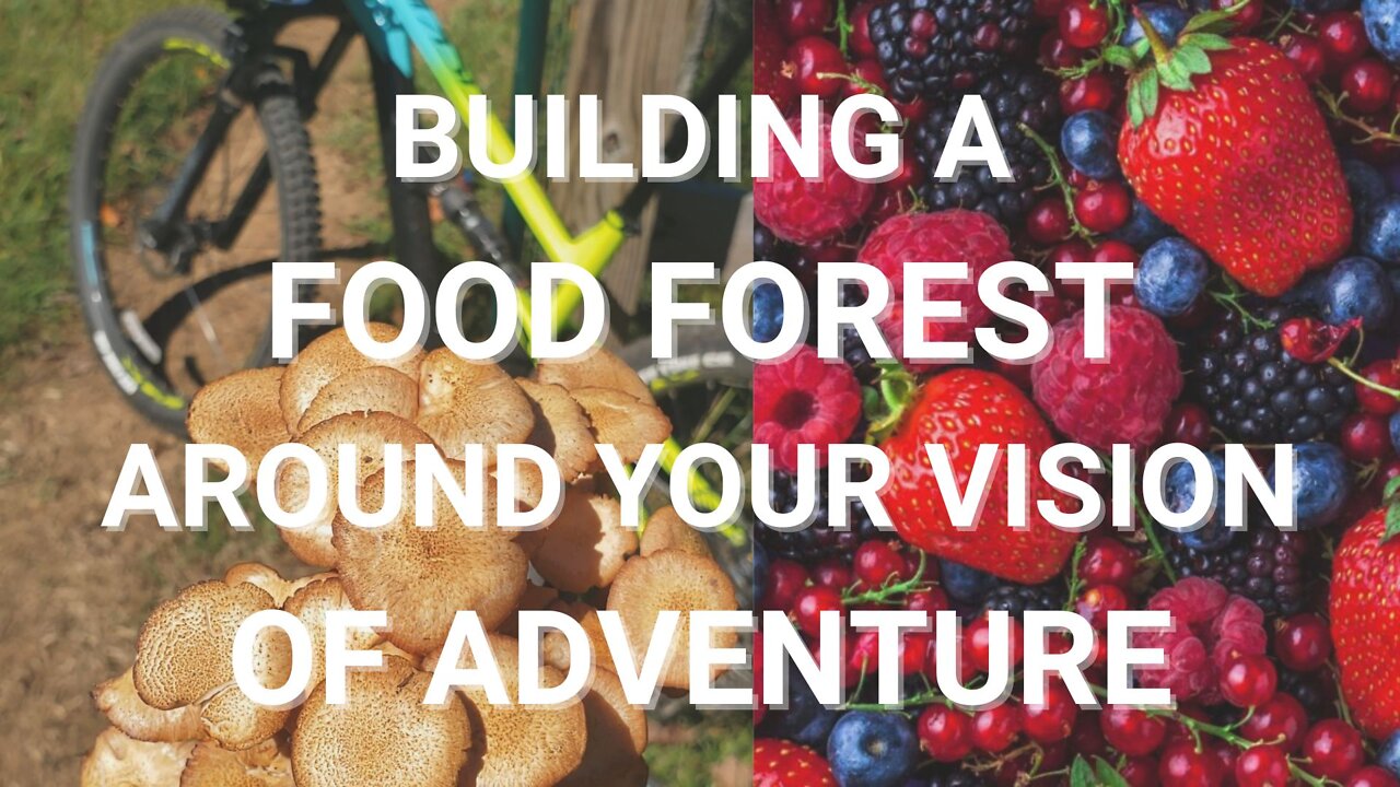 Using FOOD FORESTS to Build Your Version of Community and Adventure in South Carolina - IdeallyEco