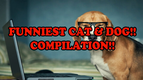 Funniest Cat And Dogs Compilation!! Funny Animal Videos!! #7