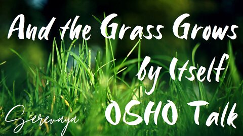 OSHO Talk - And the Grass Grows by Itself - Not a Dead One - 7