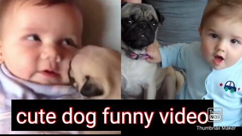 Cute funny baby and dog fun