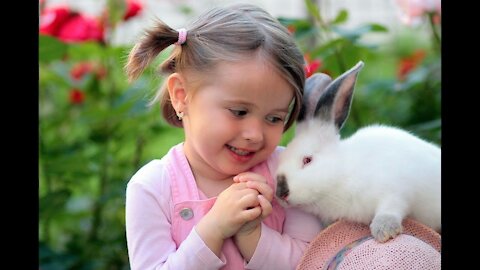 Cute and funny baby rabbit videos compilation