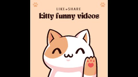 Funny cat dance