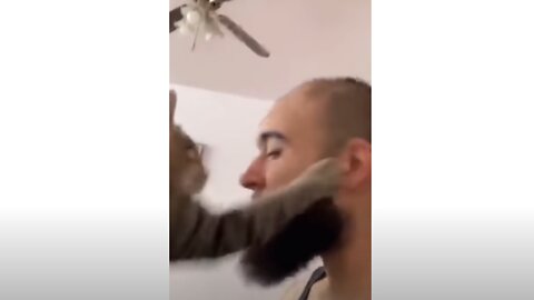 Whisker Whack: Hilarious Cat Smacks Owner in the Face!