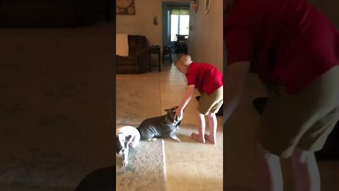 Morning chocolate 🍫 milk 🥛..It’s gunna be a BEAUTIFUL day! 😃👍#shorts #viral #tiktok