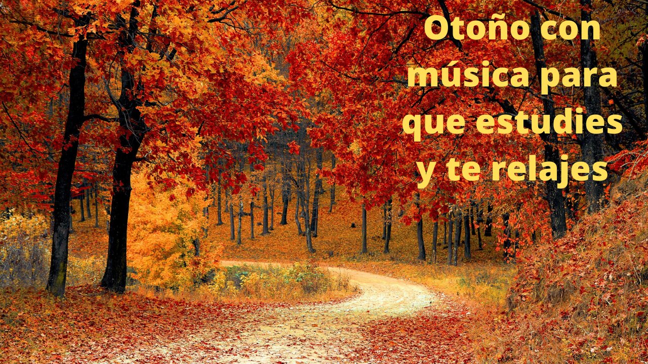 Otoño con música para que estudies y te relajes