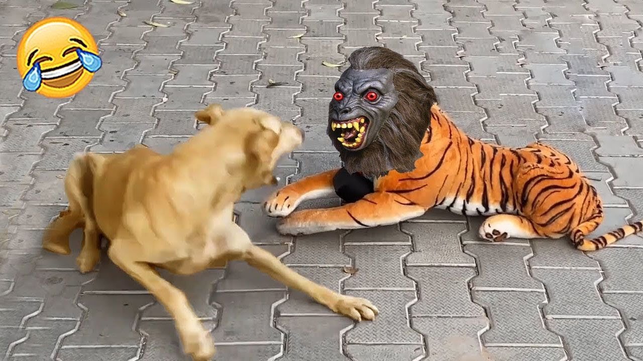 Funny Animals Videos 2023! Try Not to Laugh at These 😂 (Ultimate)