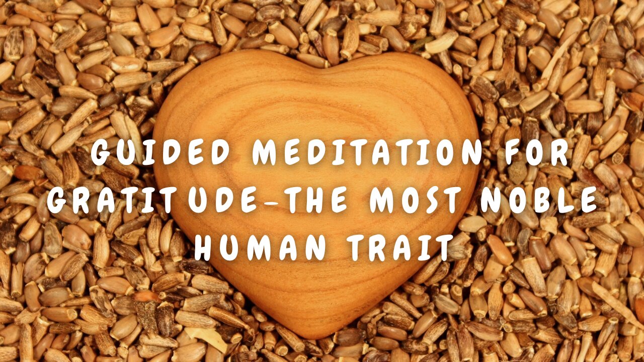 Guided Meditation for Gratitude the Most Noble Human Trait: Cultivate a Positive Mindset, #gratitude