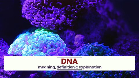 What is DNA?