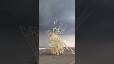 'Animales de la playa' fueron creados con arte e ingeniería.Caminan solas con la energía del viento.