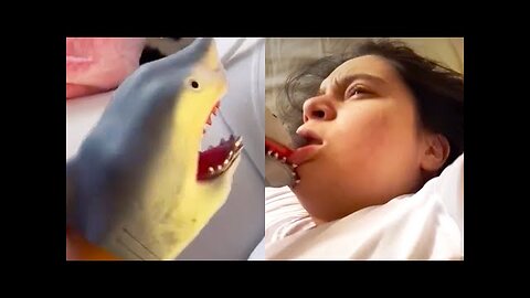 FUNNY99TEAM | SHARK PUPPET PRANK! | FUNNY VIDEOS