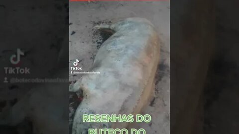 Leitão á pururuca RESENHAS DO BUTECO DO VINAO FAVELA