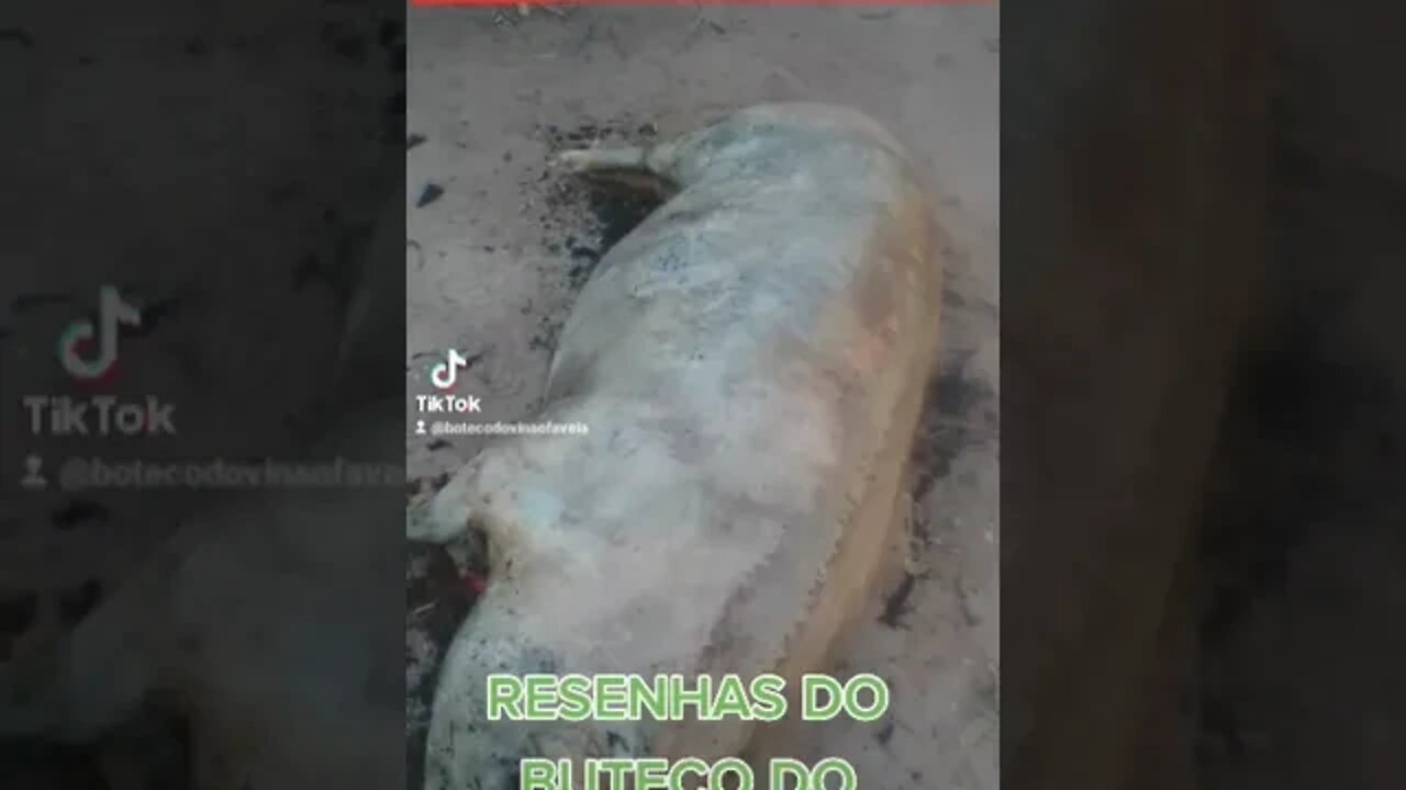 Leitão á pururuca RESENHAS DO BUTECO DO VINAO FAVELA