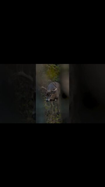 What’s Going Through Your Mind?!