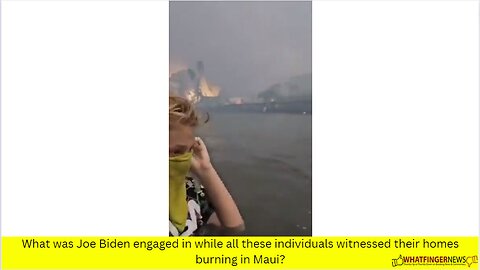 What was Joe Biden engaged in while all these individuals witnessed their homes burning in Maui?