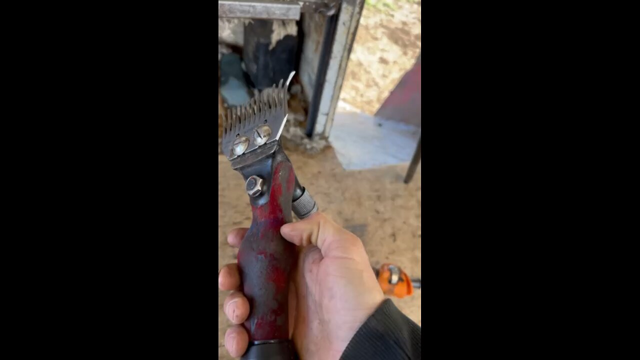 Shearing Combs by Heiniger