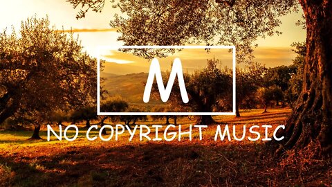Del - Fantasy（Mm No Copyright Music）