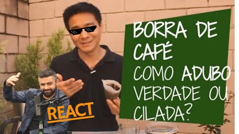 BORRA DE CAFÉ como ADUBO É bom ou é cilada REACT