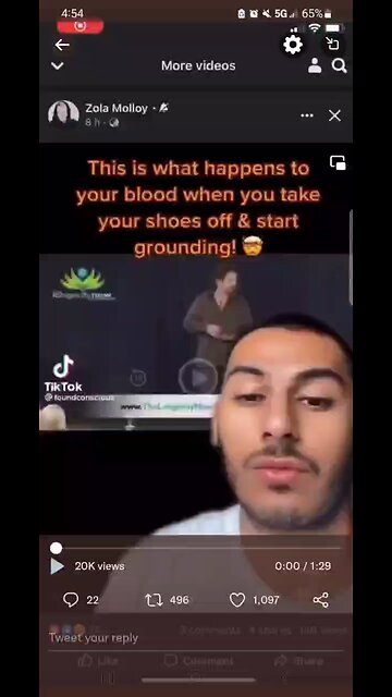 The effect of grounding on the human body