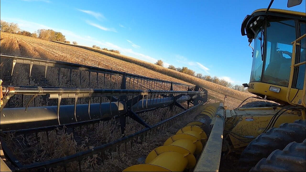 2022 Soybean Harvest Preparation and Soybean Harvest!