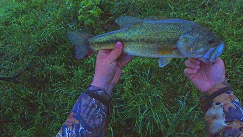 Big Bass At Dusk