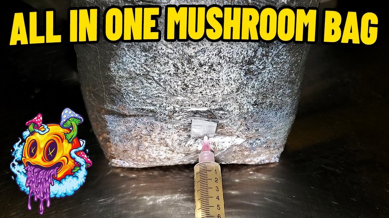 All In One Mushroom Grow Bag Inoculation - S2 EP2