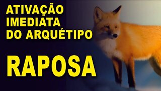 Ativação imediata do Arquetipo Raposa