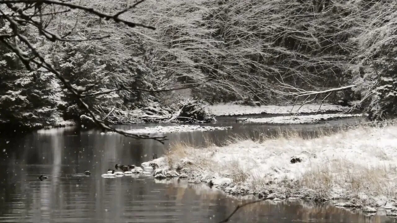 Calming videos,, Snowy Lake, soothing relaxing backgrounds and screen savers screensavers