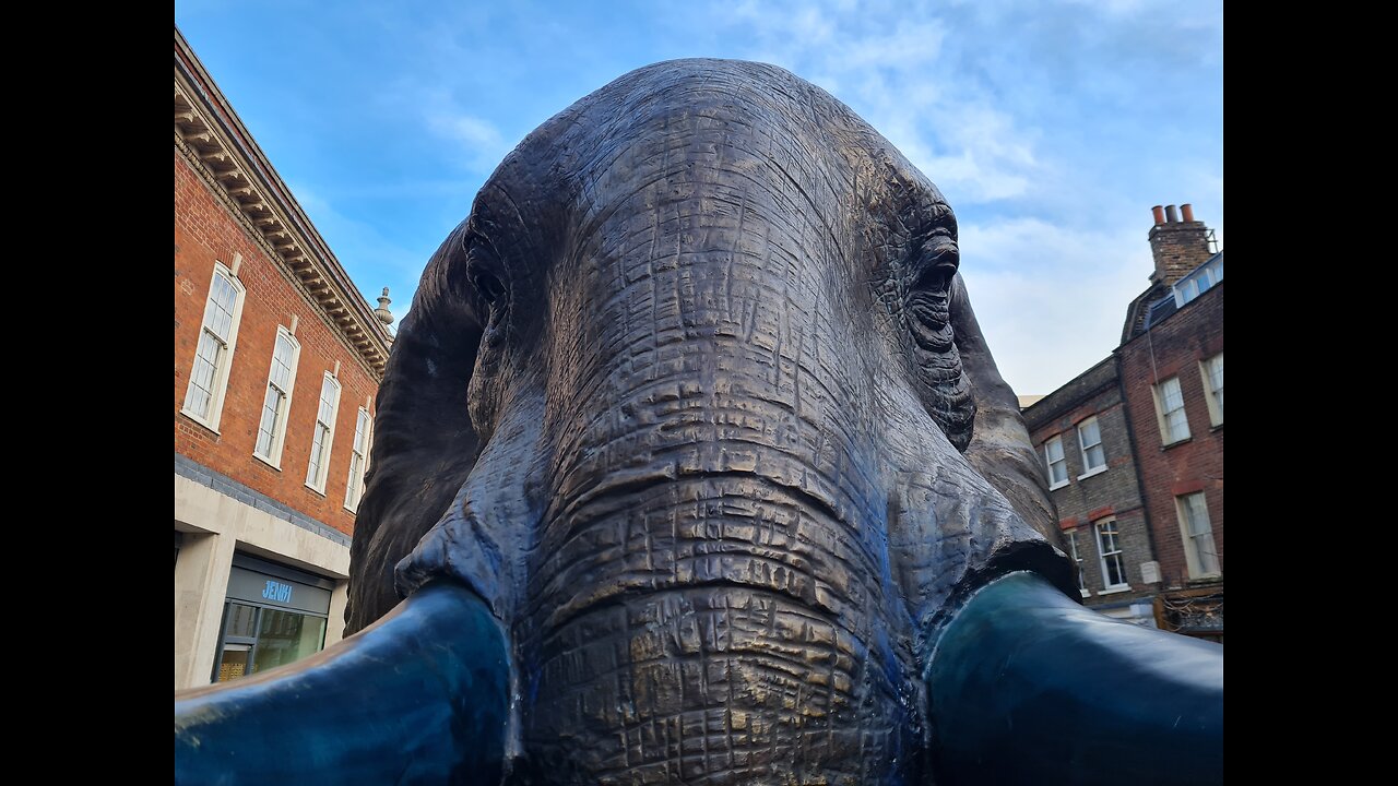 Did You Spot the Elephant in the Room? 013