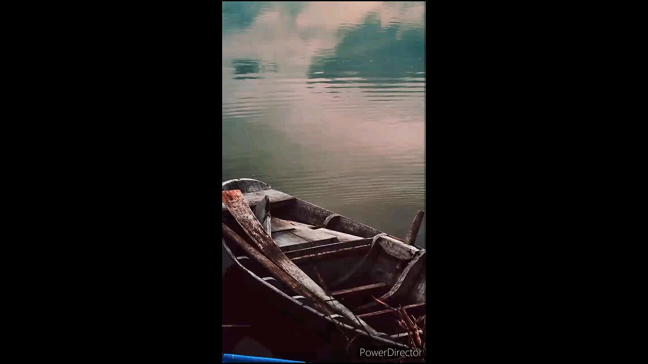 Verse of the day June 13th 2024