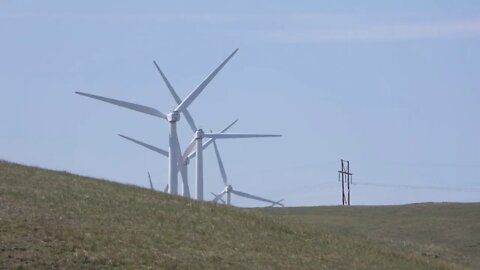 Wyoming Bird Choppers