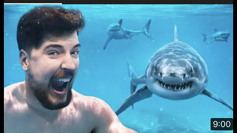 Mrbeast SWIM WITH SHARKS GET 100k