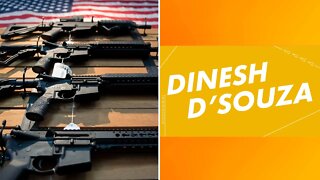 Dinesh D'Souza: Firearm Background Checks are Important to Stop the Mentally Ill