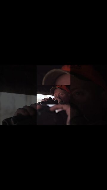 Here are some late season hunting tips!🏹🦌 #deer #deerhunting #hunting