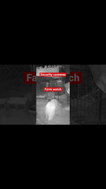 Monitoring Farm Animals