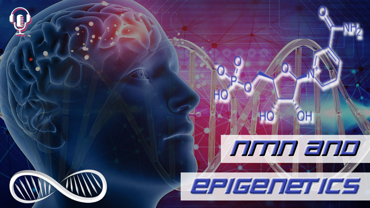 NMN 🧬 The Epigenetic B-Vitamin for Smarter Genes