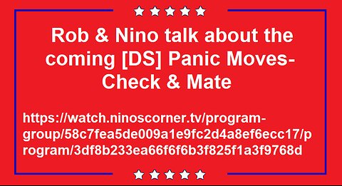 Rob Cunningham & Nino talk about[DS] Panic Moves - Check