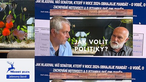 Jak volit politiky? Podle chování
