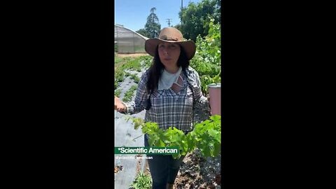 Instagram or Regenerative Agriculture - What's More Future-Proof?