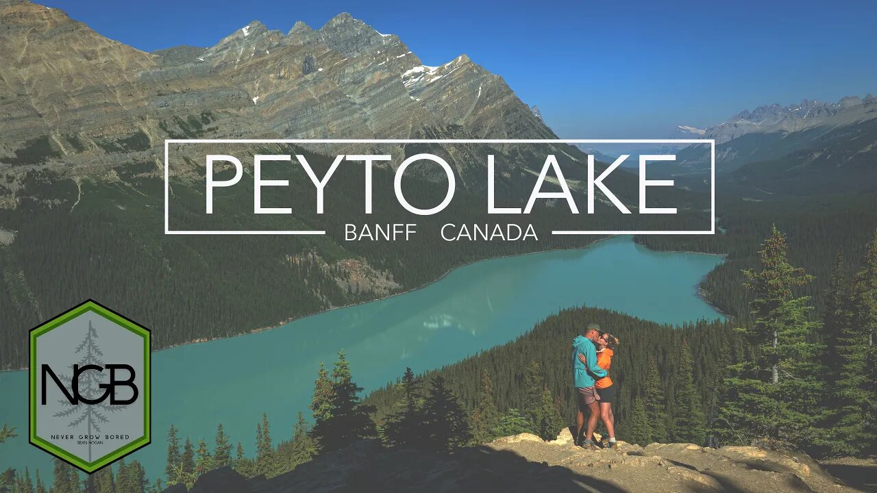 Peyto Lake, Banff National Park, Alberta -- 4K Cinematic