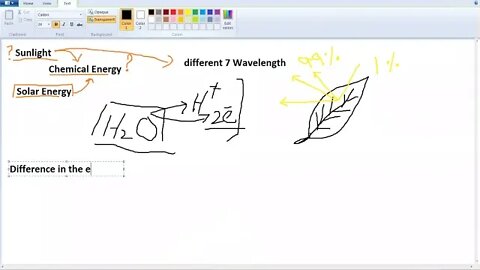 9th Class Bio Role of Chlorophyll and light