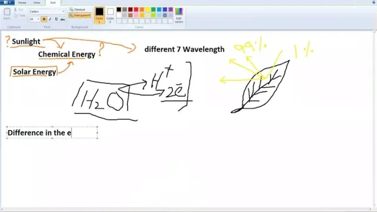 9th Class Bio Role of Chlorophyll and light