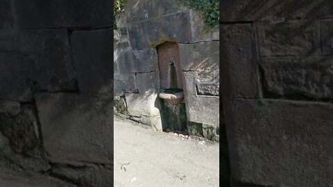 Edwardian Drinking Fountain #shorts