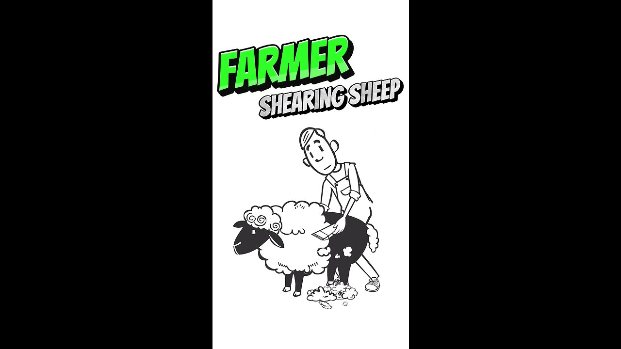 Farmer shearing sheep 🐑