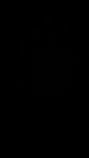 Stay free Russell Brand