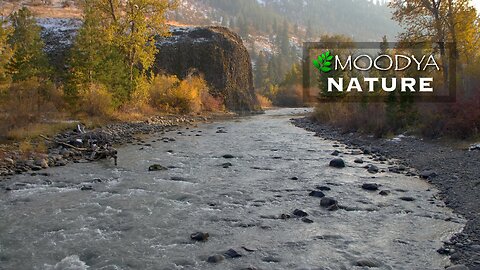 Relaxing Nature Video & Sound - Autumn River Passage