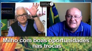 Milho com boas oportunidades nas trocas