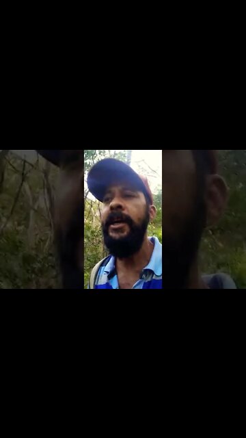 Design Inteligente 1