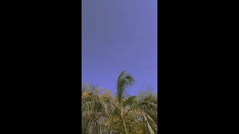 Mere dil vich gali tu aaja