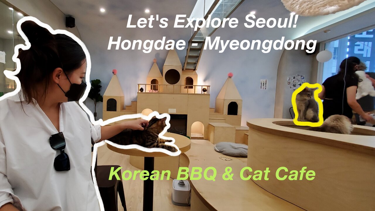 Let's Explore Seoul! - Cat Cafe in Myeongdong & Korean BBQ in Hongdae