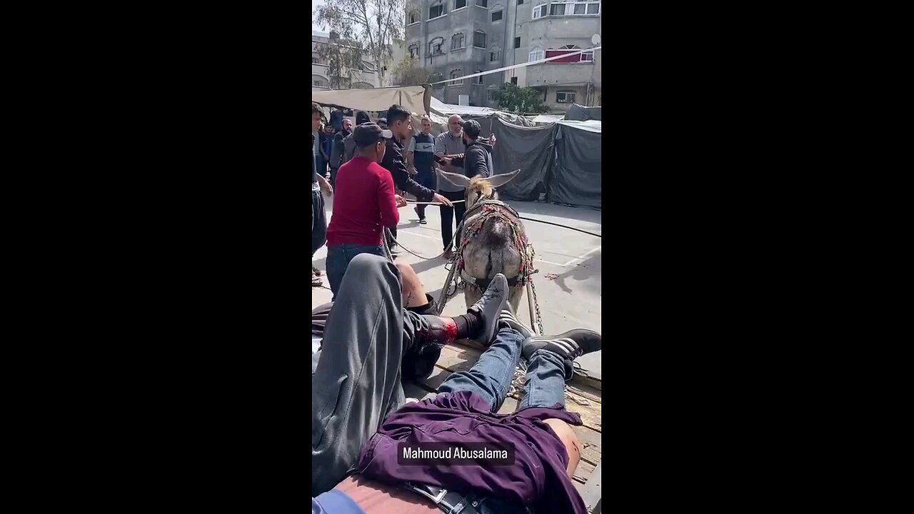 استهداف مدرسة نازحين شمال القطاع ، الشظايا تسقط على المسعفين وهي تنقل الشهداء جراء القصف المتواصل